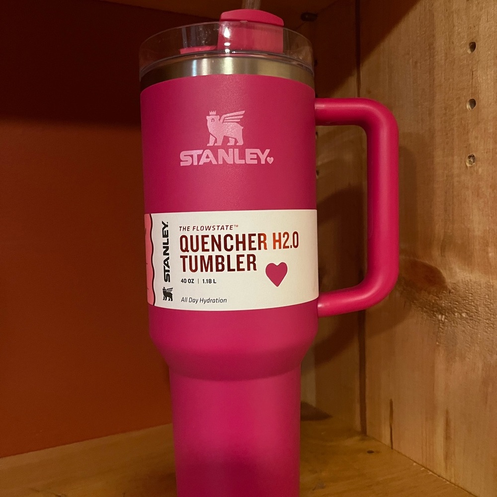 -BNWT Valentines Stanley